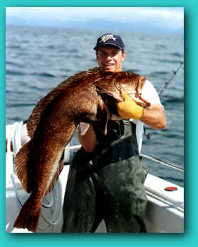 [Image: lingcod.jpg]