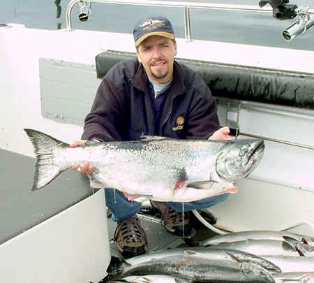 A very nice king Salmon.