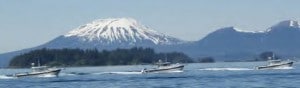 BAMF Boats - Big Blue Charters