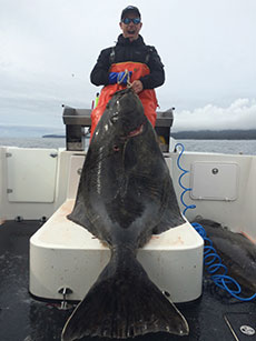 Alaska Fishing | Halibut | Salmon | Fish in Legendary Sitka!