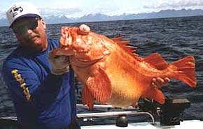 Alaska Red Snapper Fishing - Big Blue Charters