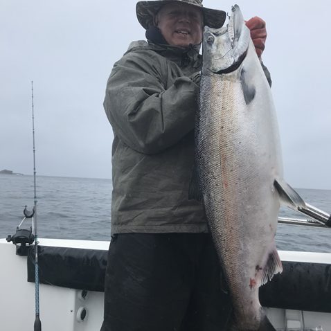 Alaska Salmon fishing, big catch during Big Blue Charters Alaska fishing trip.
