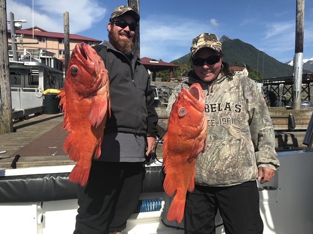 Great fishing for Yellow Eye in Sitka - with Big Blue Charters
