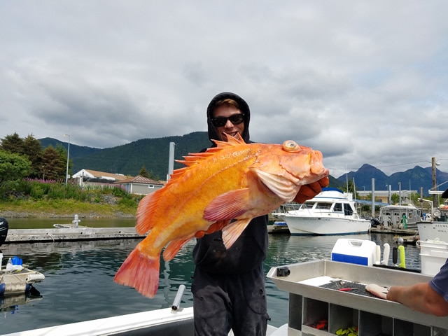 July 13, 2019 - Big Yellow Eye Fish Catch with Big Blue Charters-Alaska.