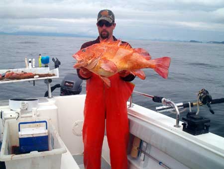 Skipper Brian